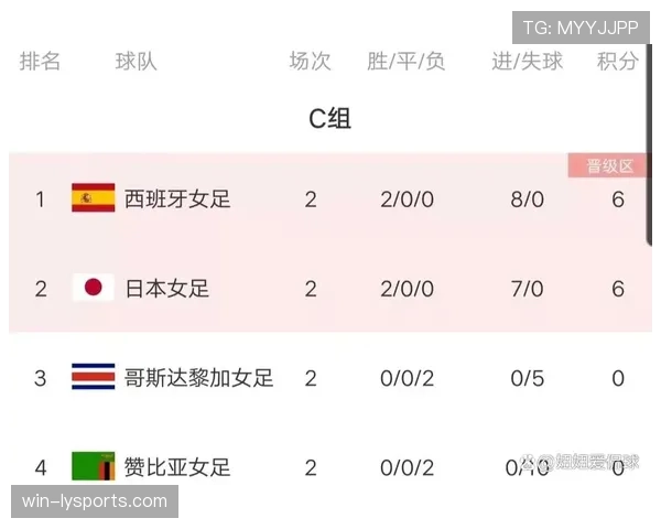 捷克队有望从世界杯A组成功晋级吗